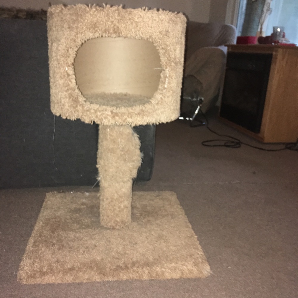 Cat scratching post - Picture 2 of 5